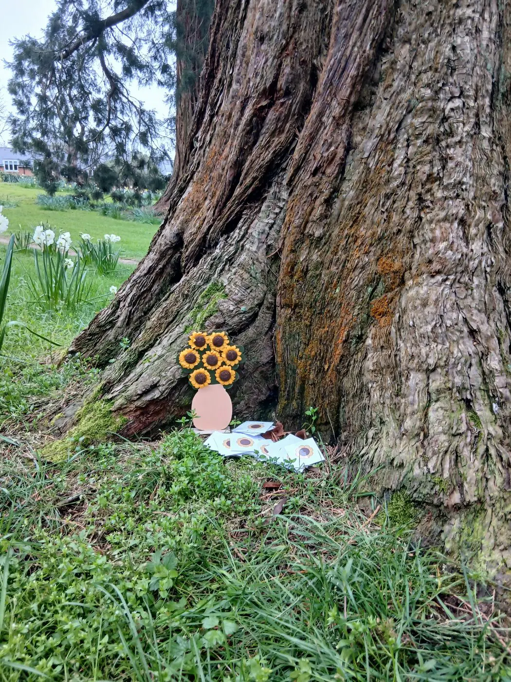 Royal Earlswood Court