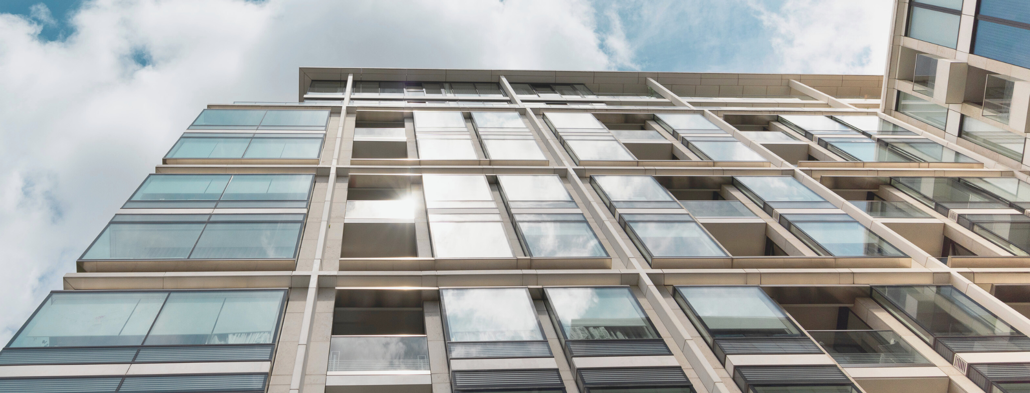 Web Template New (25)